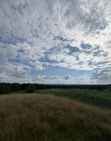 działka na sprzedaż 70000m2 działka Czernichów