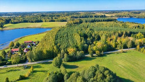 działka na sprzedaż 29547m2 działka Żywki