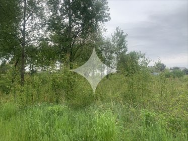 działka na sprzedaż 1028m2 działka Gogołowa