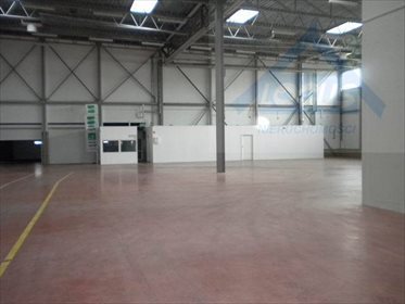 Magazyn na wynajem Warszawa, Ursynów, Pyry 1 500m2 Foto 3