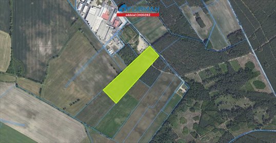Działka 52 323 m² z lasami i łąkami - inwestycja polecam działka Budzyń