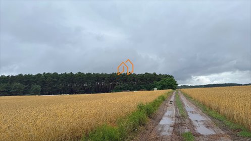 działka na sprzedaż 2100m2 działka Niesłabin