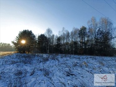 działka na sprzedaż 7795m2 działka Kalisz Pomorski, blisko centrum