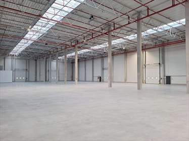 magazyn na wynajem 2500m2 magazyn Gdynia, Chylonia, Hutnicza