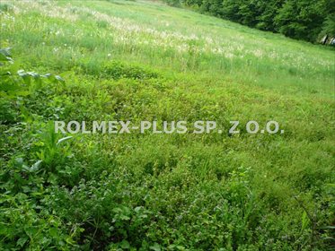 działka na sprzedaż 3748m2 działka Tomaszów Lubelski