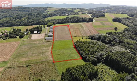 Działka inwestycyjna na sprzedaż Niewodna 14 000m2 Foto 3