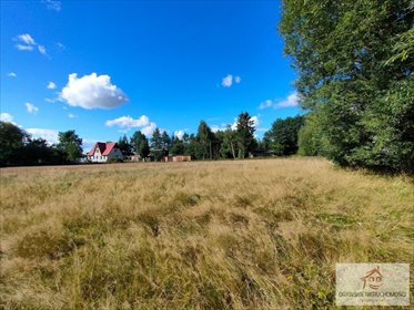 działka na sprzedaż 9700m2 działka Rzęśnica, Rzęśnica