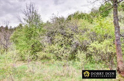 działka na sprzedaż 2900m2 działka Sokóle