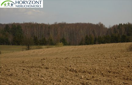 Polecam działkę 1,21 ha z widokiem na jezioro i możliwością budowy działka Grabowska Huta