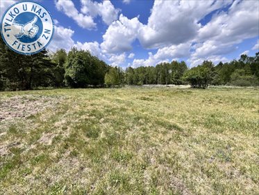 działka na sprzedaż 4800m2 działka Maluszyn