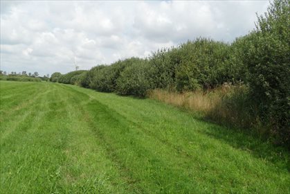 Działka inna na sprzedaż Dalewo 7 722m2 Foto 7