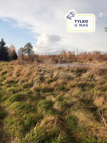 Działka rolna na sprzedaż Proćwin 1 100m2 Foto 1