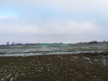 działka na sprzedaż 79000m2 działka Żaby