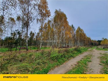 Działka budowlana na sprzedaż Rańsk, Dźwierzuty 1 094m2 Foto 7