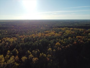 Działka budowlana na sprzedaż Wiązowna Kościelna, Polska, Polska 1 284m2 Foto 5