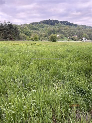 działka na sprzedaż 2805m2 działka Wadowice, okolica