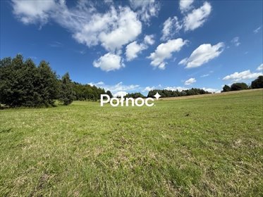 działka na sprzedaż 14700m2 działka Jerzmanowice