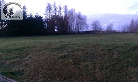 Dom na sprzedaż Dobranowice 420m2 Foto 1