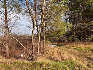 działka na sprzedaż 3885m2 działka Żanęcin, Trakt Lubelski