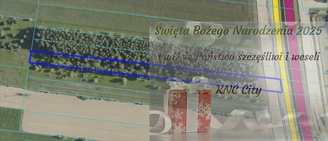 działka na sprzedaż 4438m2 działka Skrobów-Kolonia