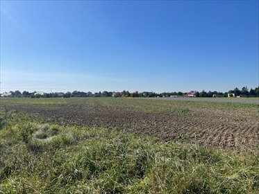 działka na sprzedaż 3000m2 działka Lutynia, Słoneczna