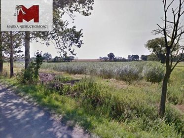 Działka budowlana na sprzedaż Pociękarb, Główna 10 310m2 Foto 5