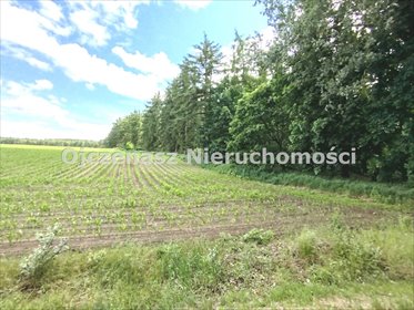 Teren inwestycyjny pod zabudowę 12 domów w Osówcu działka Osówiec