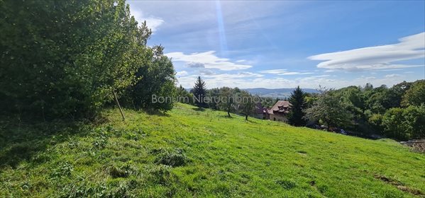 Działka inna na sprzedaż Kudowa-Zdrój, Jakubowice 1 100m2 Foto 6