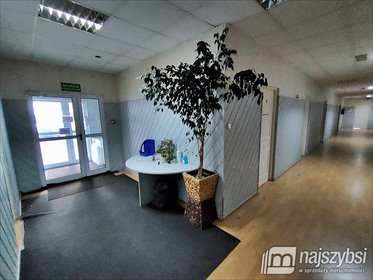 lokal użytkowy na wynajem 70m2 lokal użytkowy Szczecin, Załom