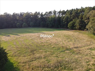 działka na sprzedaż 2602m2 działka Ławszowa