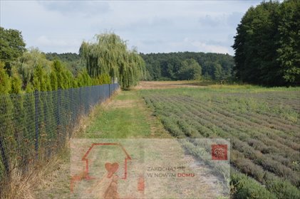 działka na sprzedaż 8136m2 działka Klarów