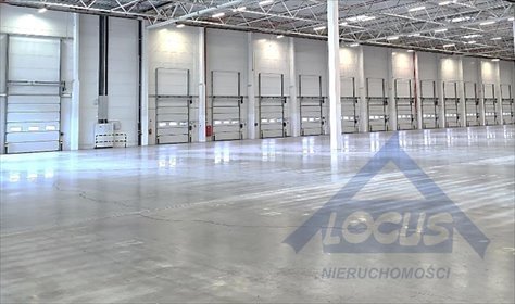 Magazyn 818 m² z dokami i biurem - dostęp od 08/2025 magazyn Jawczyce