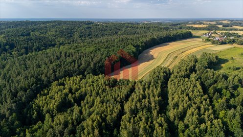 działka na sprzedaż 13000m2 działka Gnojnica