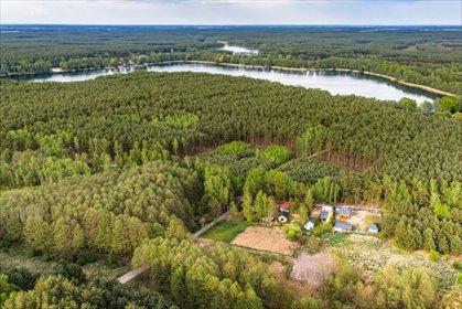 Las, jezioro i Ty działka Uście