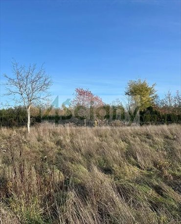 działka na sprzedaż 2667m2 działka Rusiec