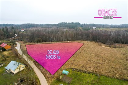 działka na sprzedaż 6035m2 działka Oracze, Pogodna