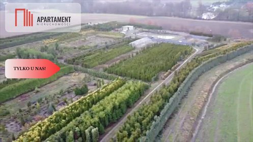 Duża działka z szkółką drzew i stawami - inwestycja polecam! działka Kopaszyn