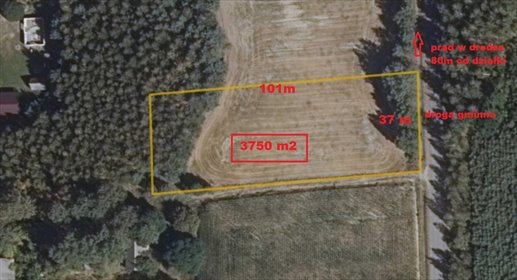 działka na sprzedaż 3750m2 działka Gródek