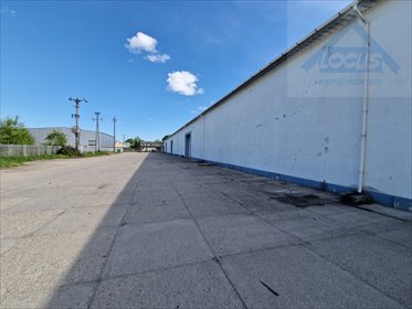 magazyn na wynajem 450m2 magazyn Nowy Konik