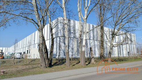 Magazyn 480 m² w Ursynowie, open space, blisko S79 magazyn Warszawa, Ursynów, Osmańska