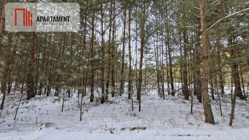 działka na sprzedaż 7380m2 działka Sulnówko