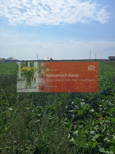 działka na sprzedaż 1594m2 działka Puchaczów