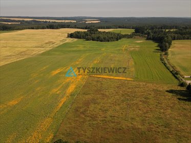 działka na sprzedaż 203494m2 działka Świerzenko