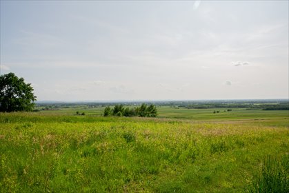działka na sprzedaż 2400m2 działka Łukowa