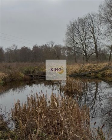 działka na sprzedaż 19600m2 działka Dębogóra