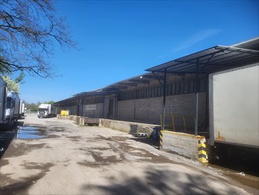 Magazyn na sprzedaż Legnica 5 050m2 Foto 3