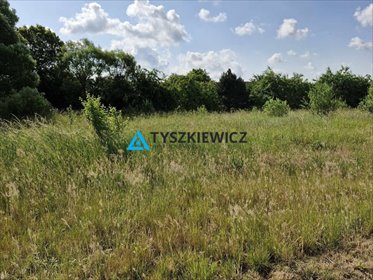 działka na sprzedaż 1182m2 działka Cewice, Bursztynowa