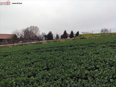 Działka budowlana z widokiem na okolicę w Bodzanowie. działka Bodzanów, Bodzanów, Bodzanów