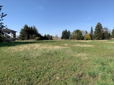 działka na sprzedaż 3856m2 działka Skałowo