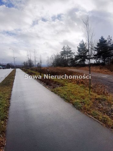 Działka inna pod dzierżawę Wałbrzych, Biały Kamień 1 300m2 Foto 6